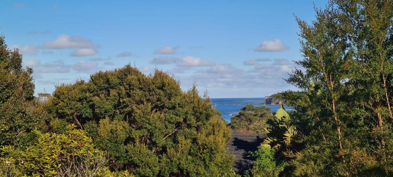 Beach Dreaming Mollymook Exterior photo